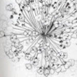 Meet your Posher, Annie-claude